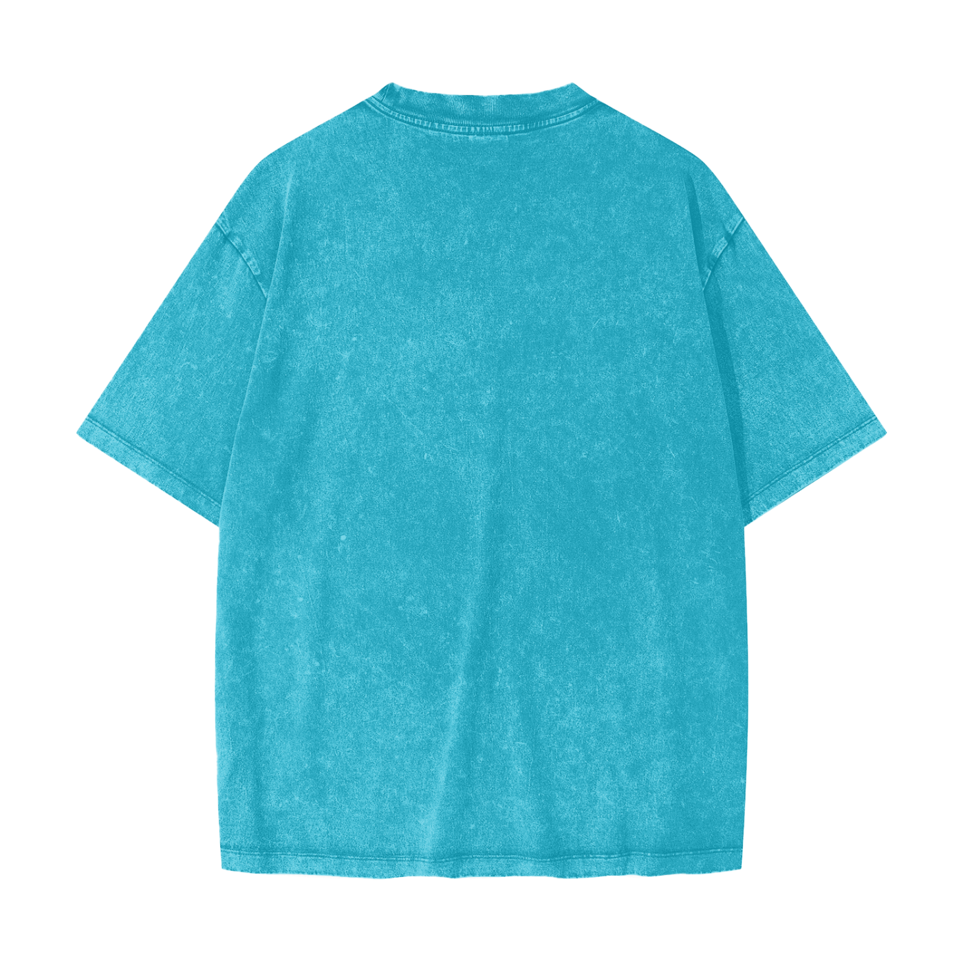 Honest Snow Washed T-Shirt