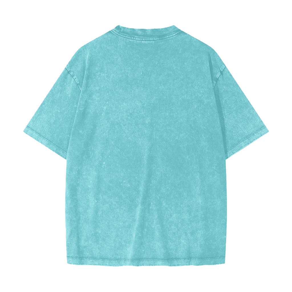 Honest Snow Washed T-Shirt