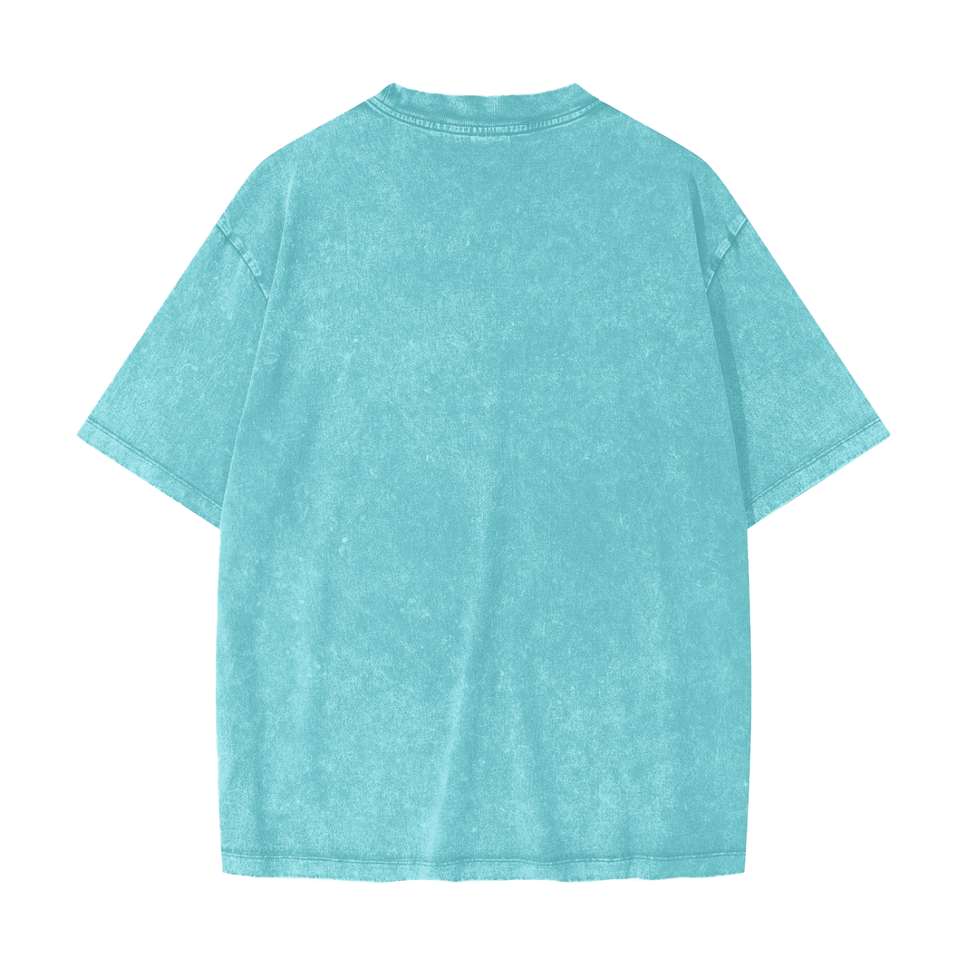 Honest Snow Washed T-Shirt