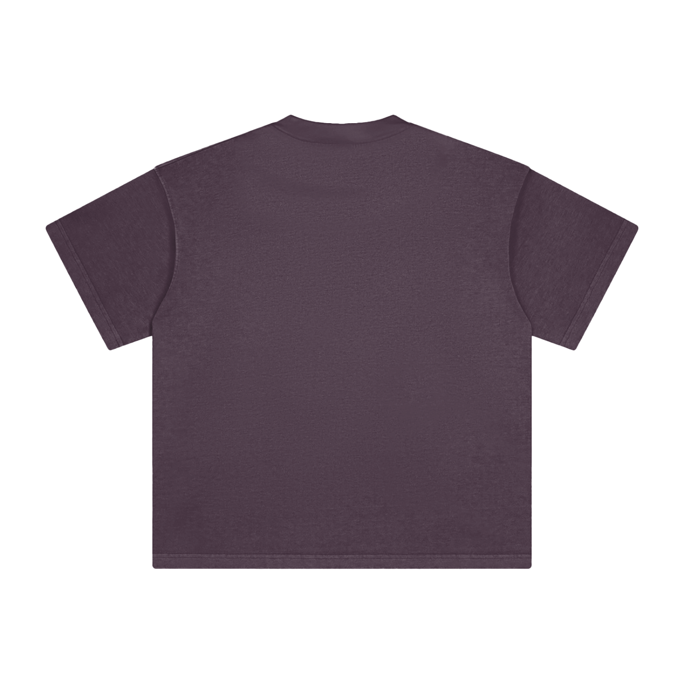 I Knew Since99 Vintage Washed T-Shirt