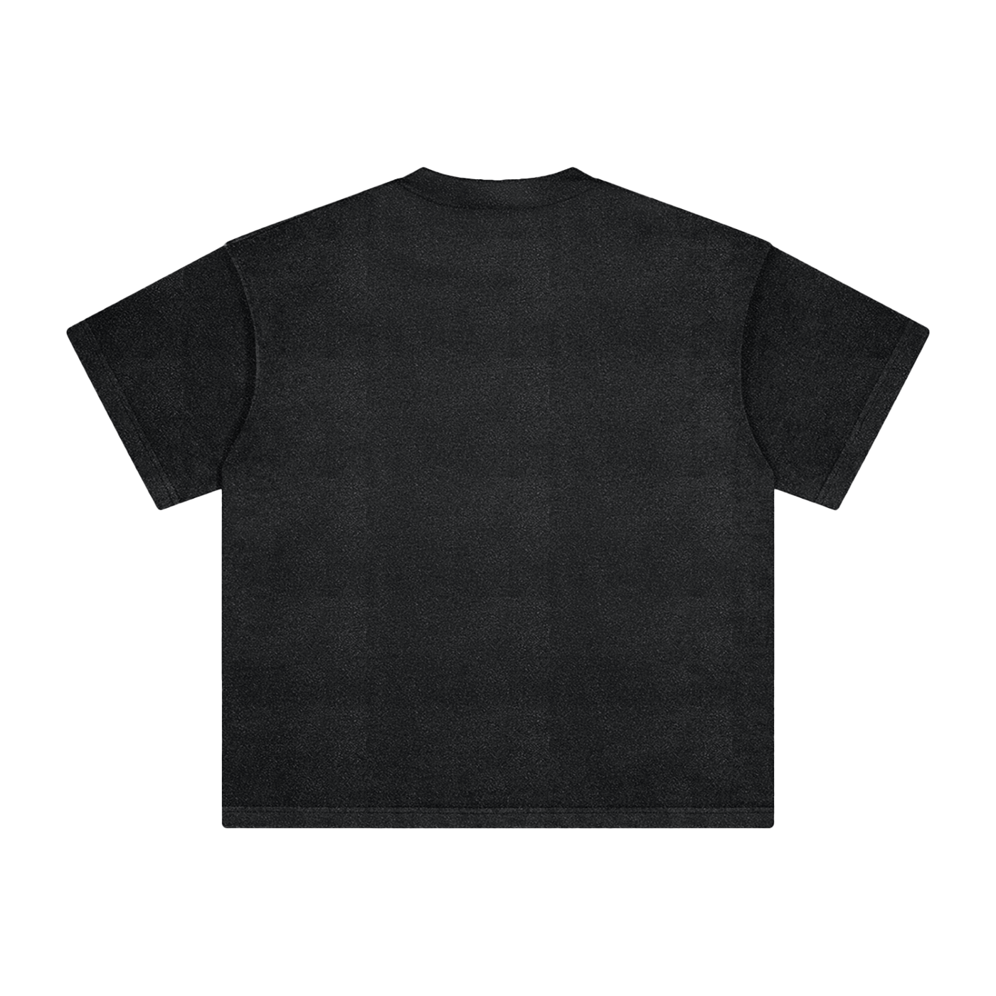 I Knew Since99 Vintage Washed T-Shirt