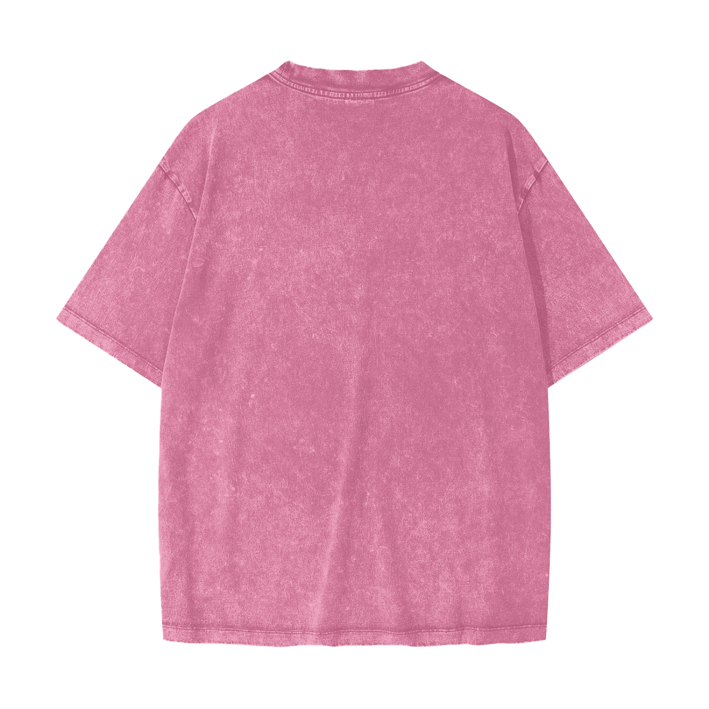 Honest Snow Washed T-Shirt