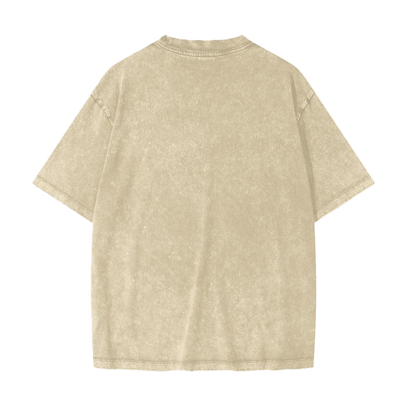 Honest Snow Washed T-Shirt