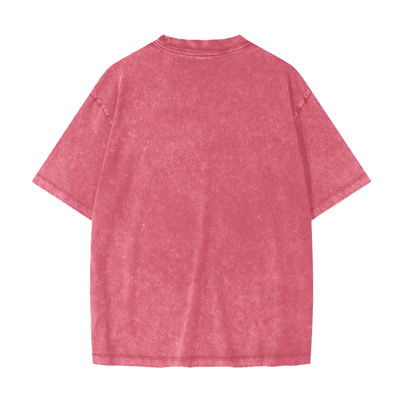 Honest Snow Washed T-Shirt